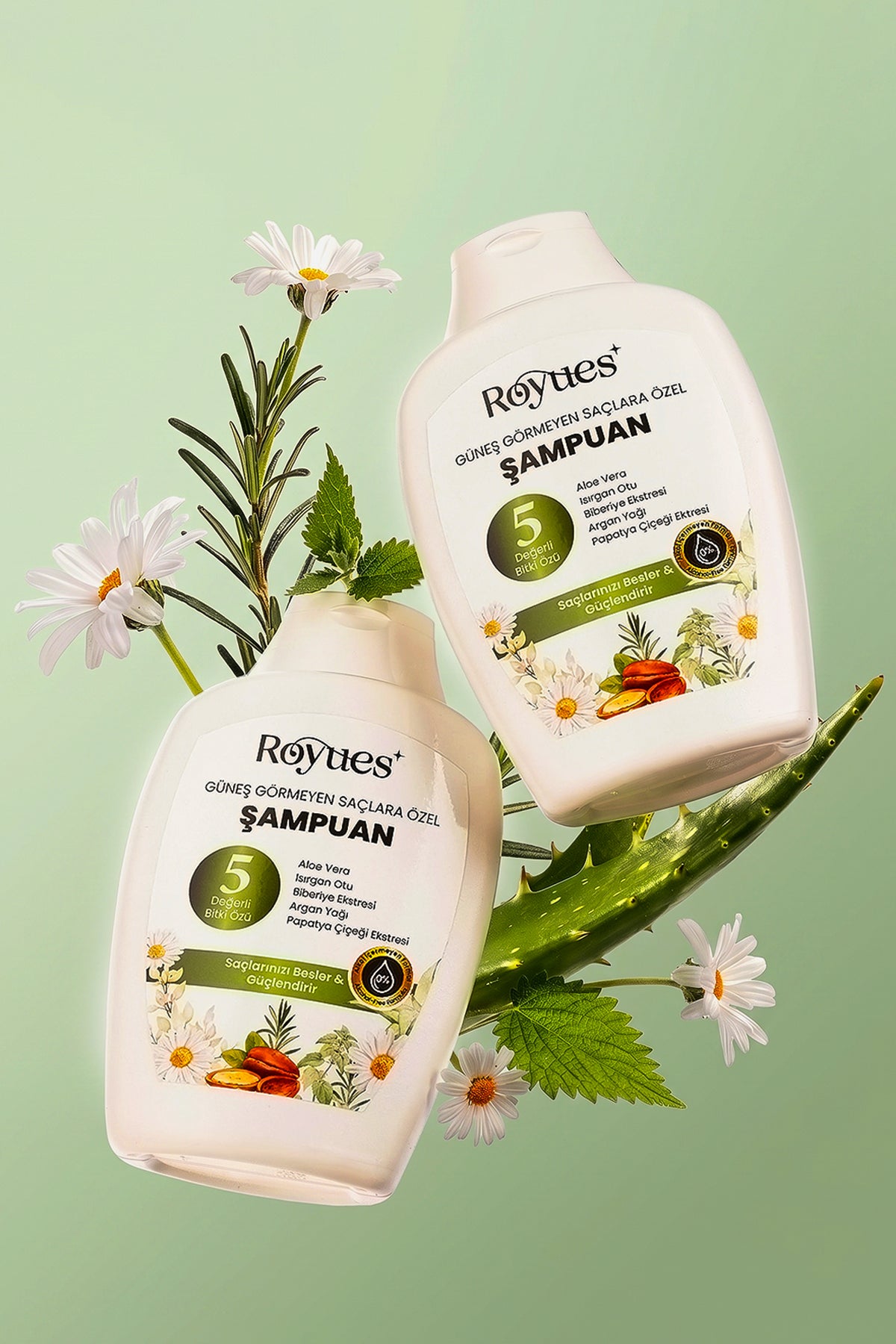 ROYUES Argan Yağlı Besleyici Sülfatsız Şampuan - Güneş Görmeyen Saçlar İçin Şampuan - 5 Bitki Özlü