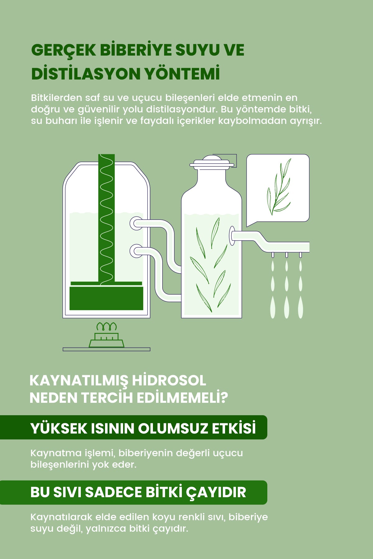 ROYUES Biberiye Suyu Dökülme Karşıtı Ve Saç Uzatma Etkili Saç Toniği